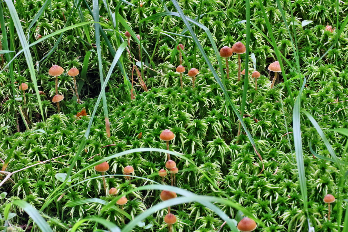 IMG-2016-06-12-00019020p_Bildgr��e �ndern