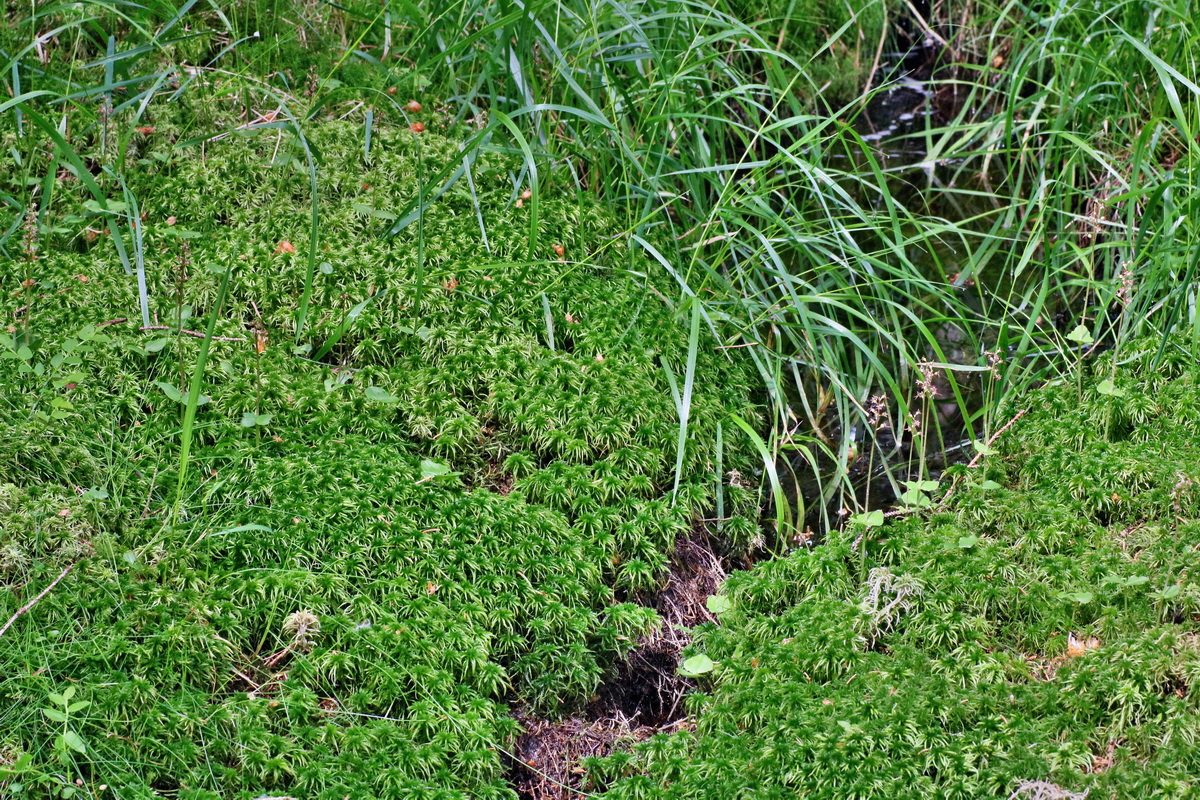 IMG-2016-06-12-00019023p_Bildgr��e �ndern