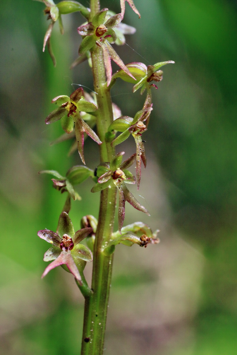 IMG-2016-06-12-00019035p_Bildgr��e �ndern