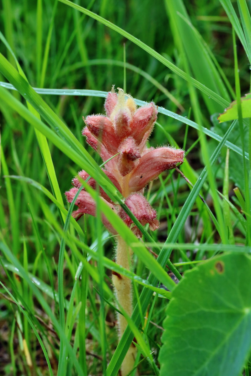 IMG-2016-06-12-00019059p_Bildgr��e �ndern