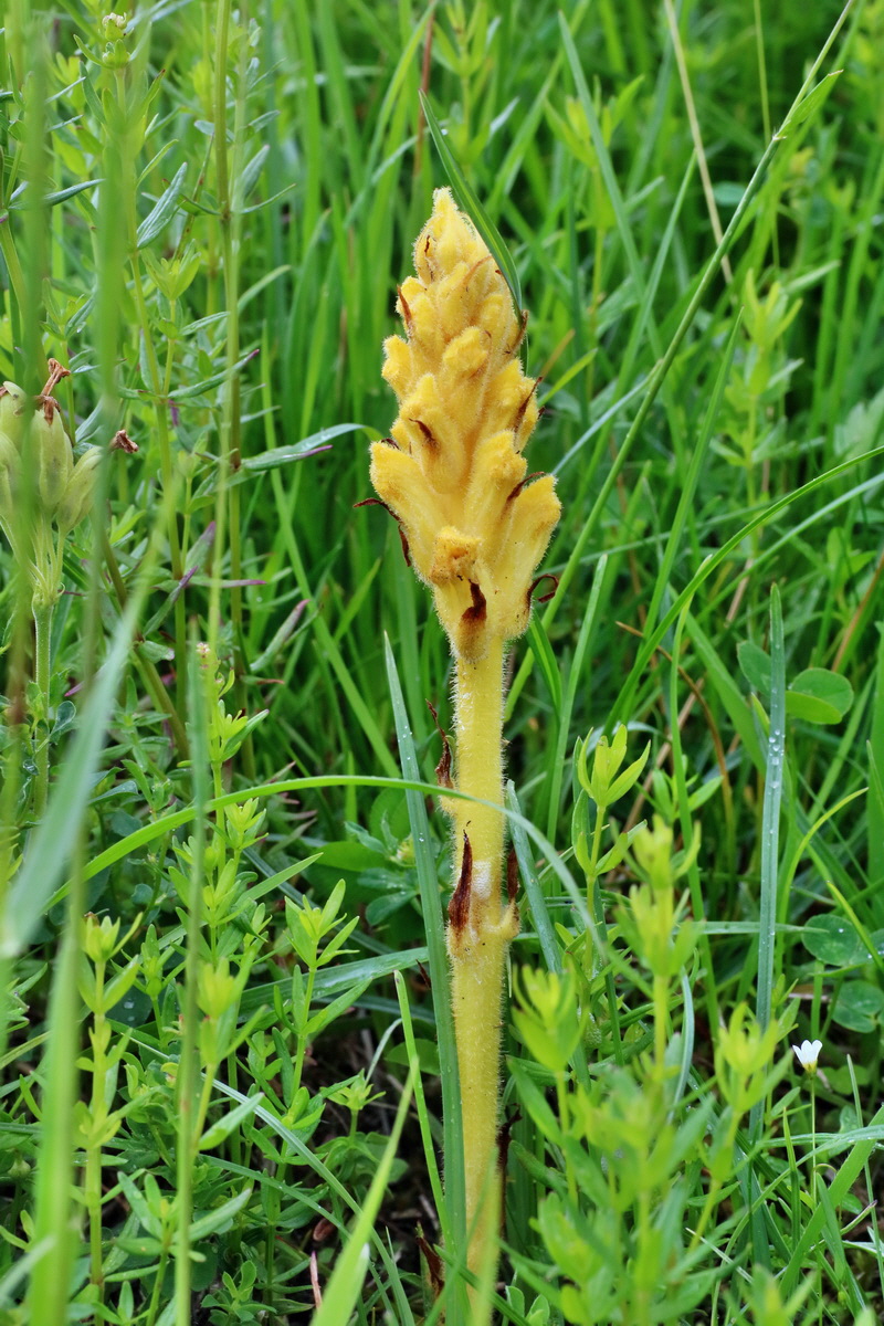 IMG-2016-06-12-00019064p_Bildgr��e �ndern