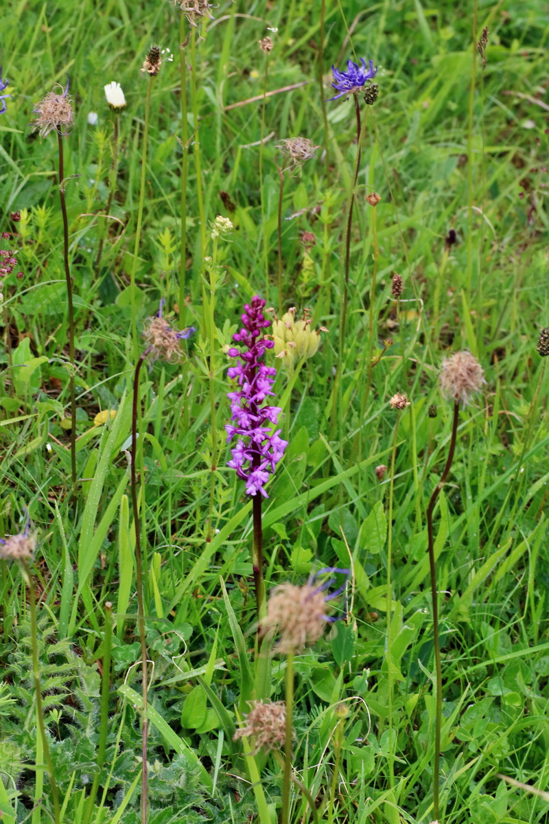 IMG-2016-06-12-00019093p_Bildgr��e �ndern