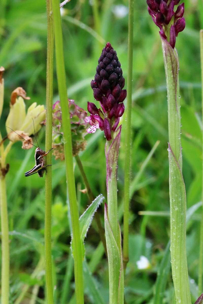 IMG-2016-06-12-00019096ap_Bildgr��e �ndern