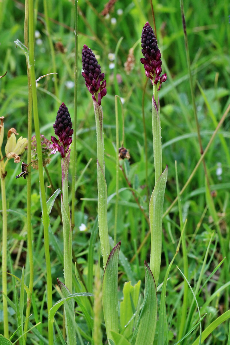 IMG-2016-06-12-00019096p_Bildgr��e �ndern