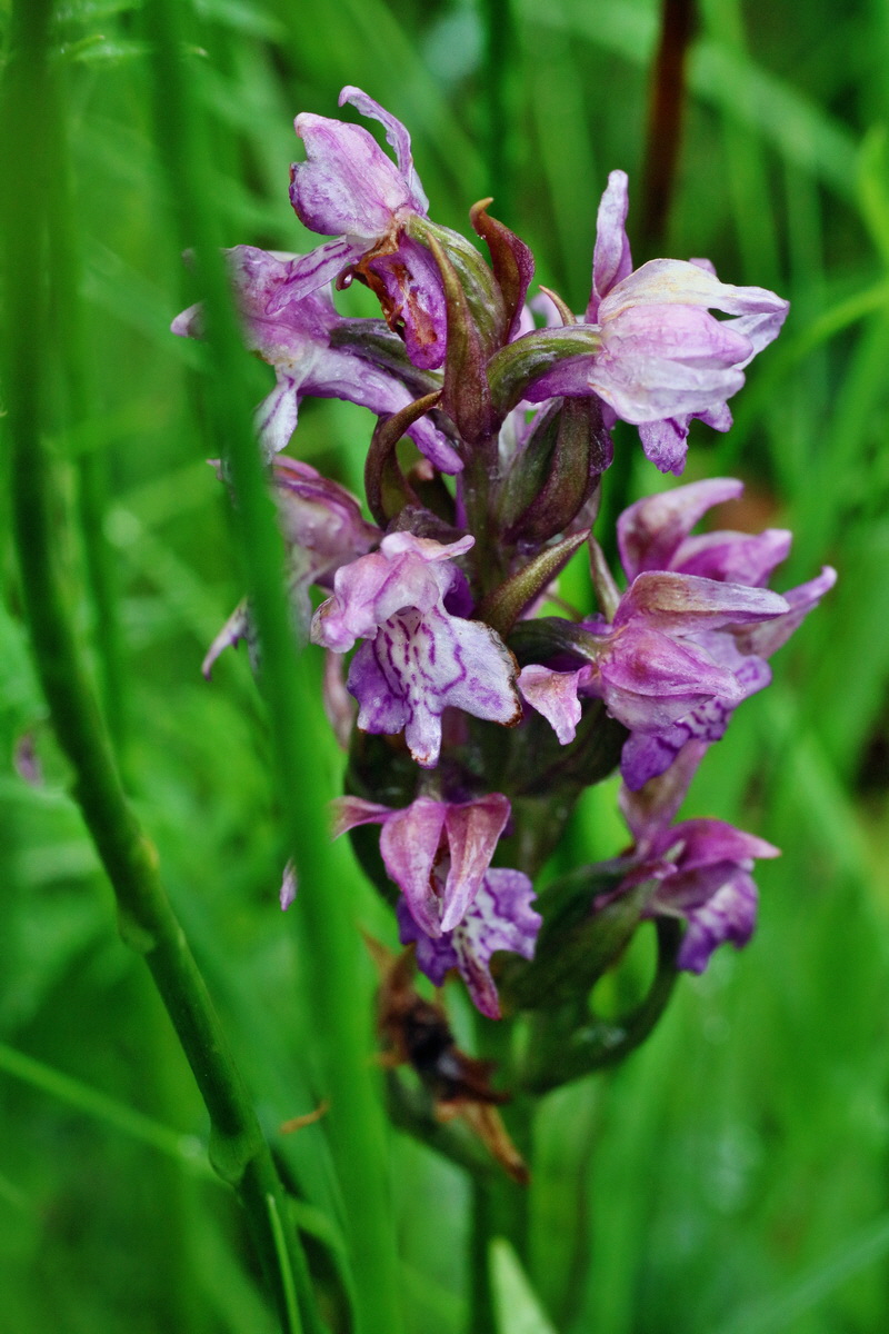 IMG-2016-06-12-00019121p_Bildgr��e �ndern