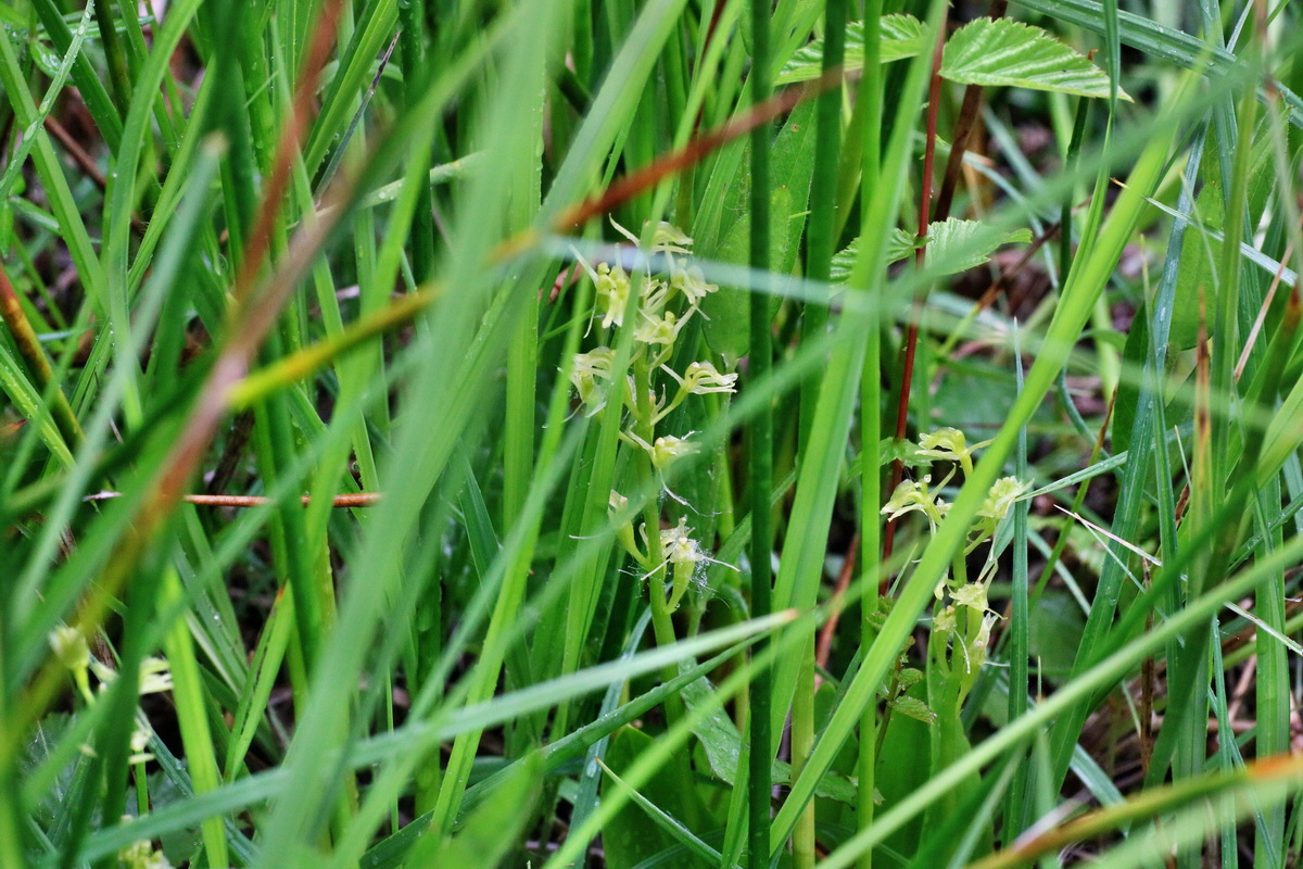 IMG-2016-06-12-00019147p_Bildgr��e �ndern