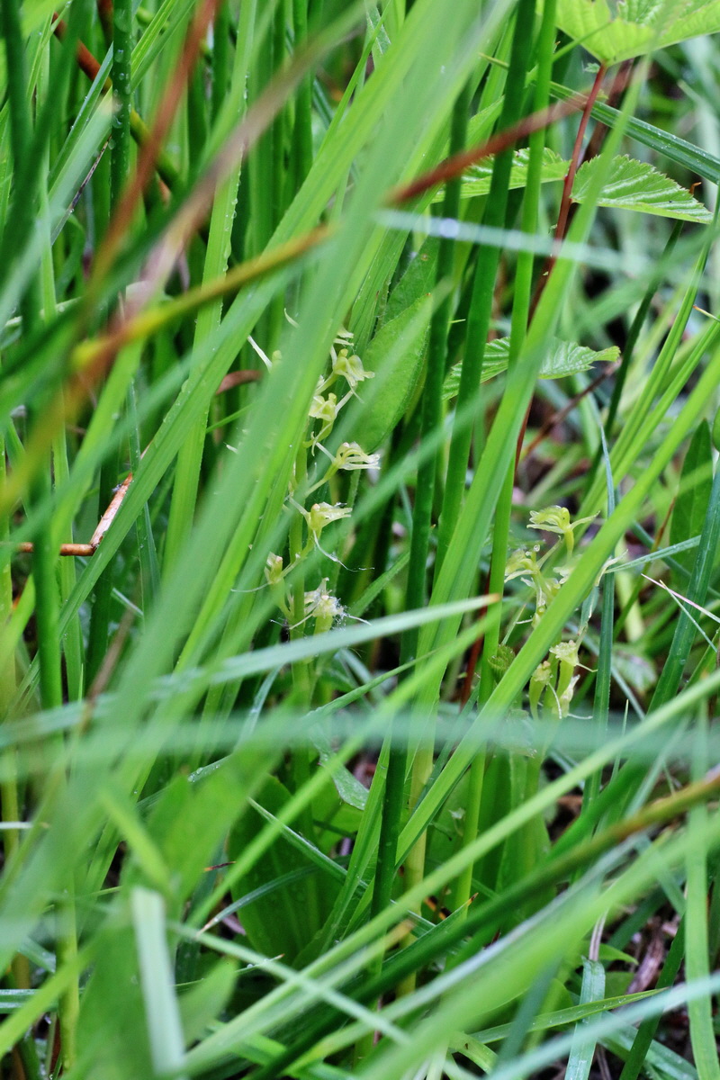 IMG-2016-06-12-00019152p_Bildgr��e �ndern