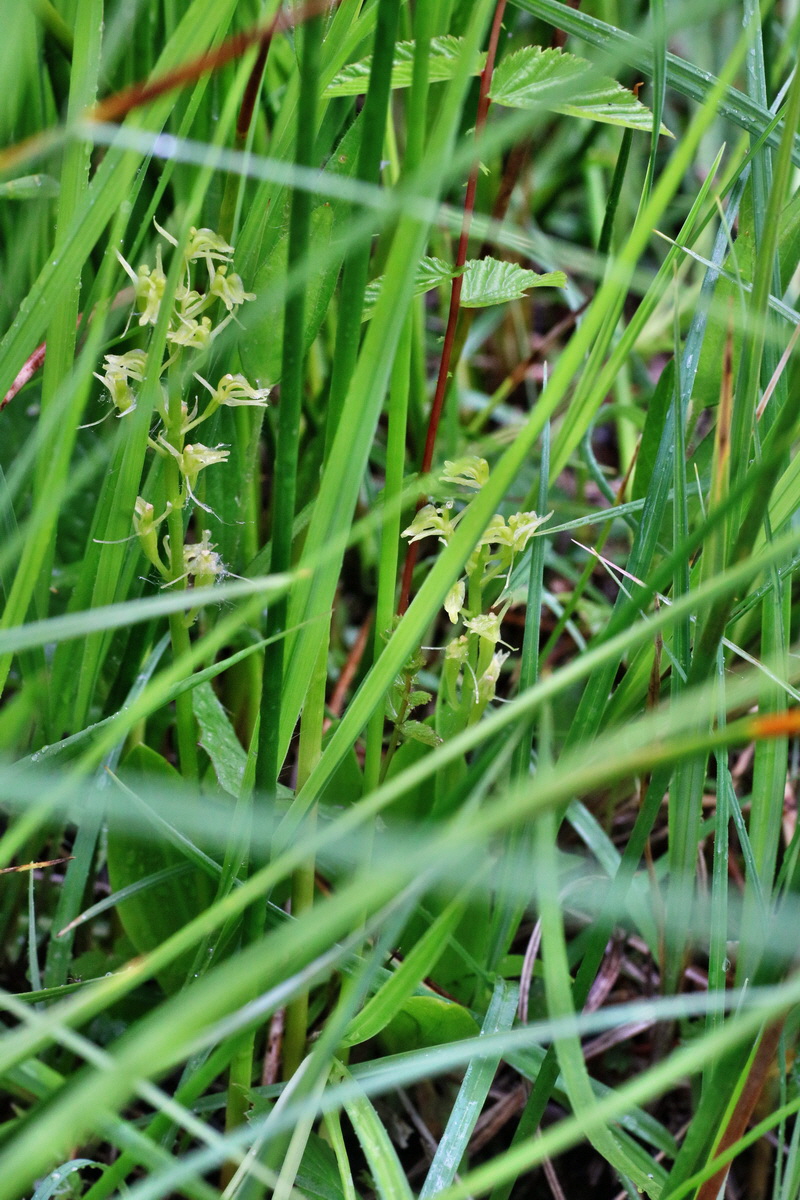 IMG-2016-06-12-00019155p_Bildgr��e �ndern