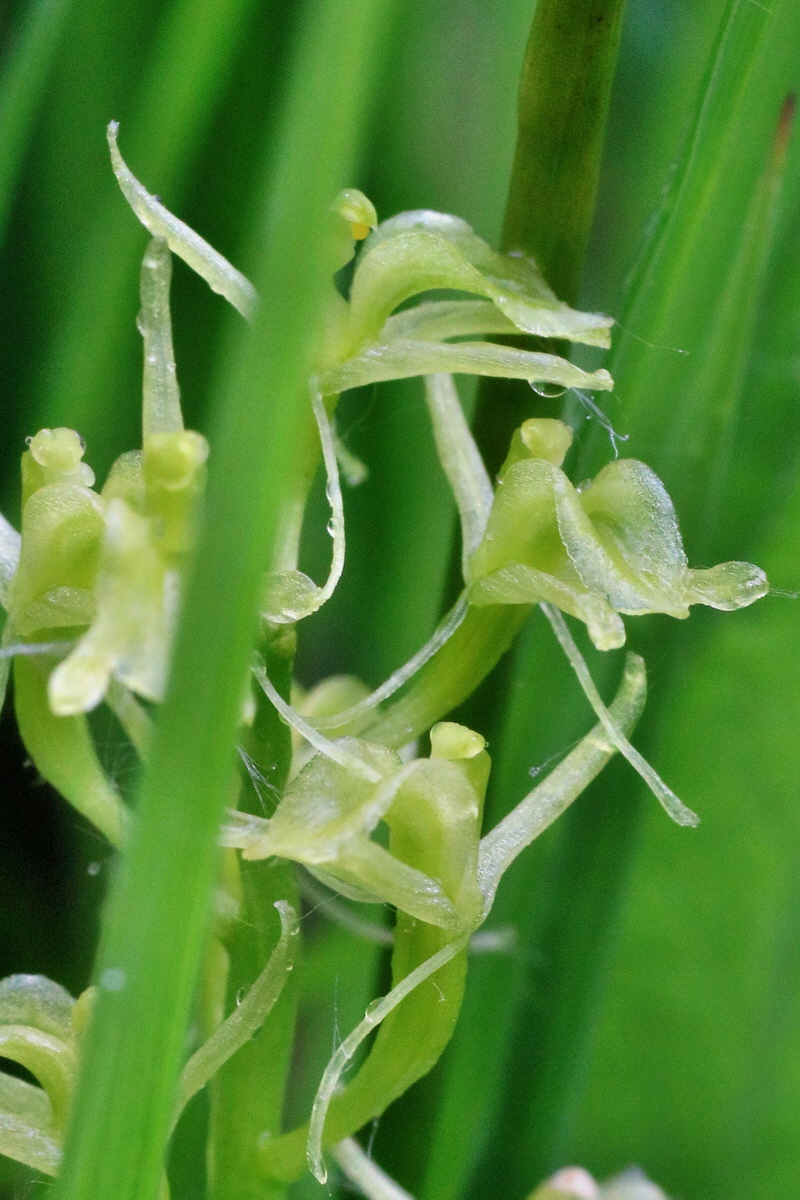 IMG-2016-06-12-00019159ap_Bildgr��e �ndern