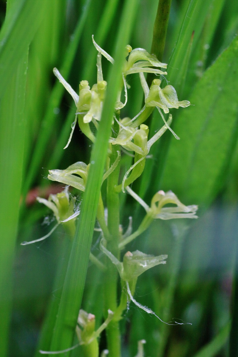 IMG-2016-06-12-00019159p_Bildgr��e �ndern