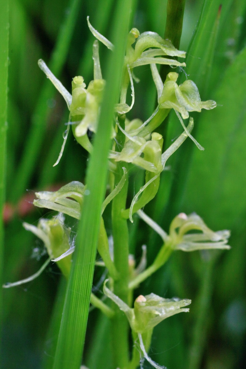 IMG-2016-06-12-00019167p_Bildgr��e �ndern