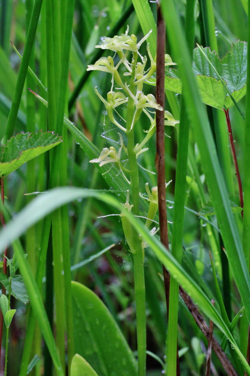 IMG-2016-06-12-00019174p_Bildgr��e �ndern