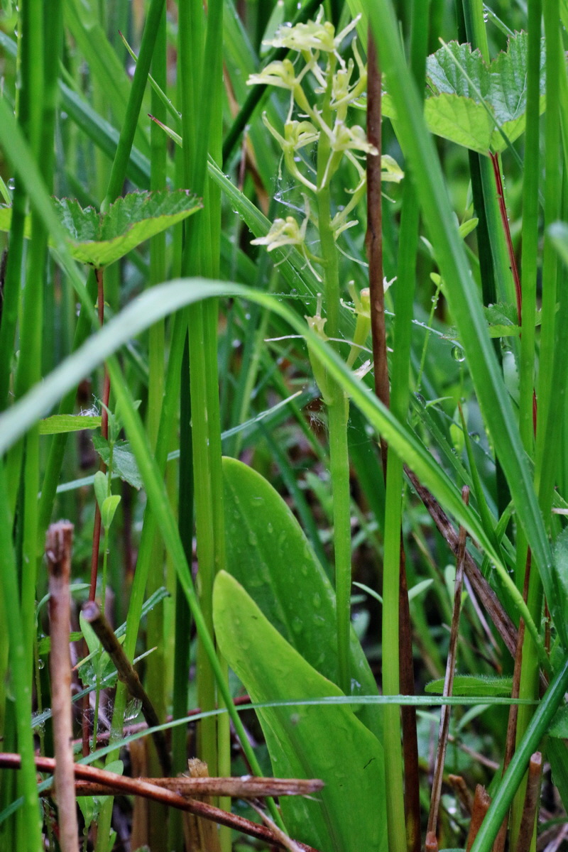 IMG-2016-06-12-00019181p_Bildgr��e �ndern