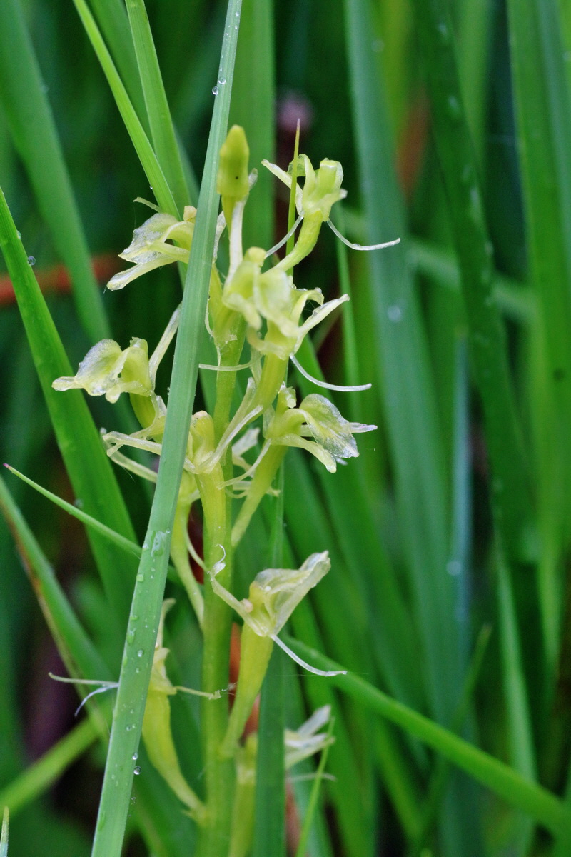 IMG-2016-06-12-00019187p_Bildgr��e �ndern