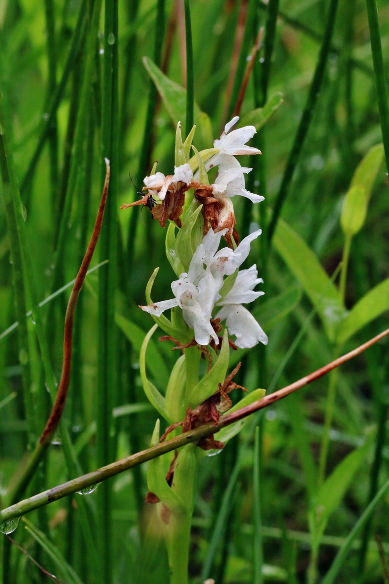 IMG-2016-06-12-00019206p_Bildgr��e �ndern