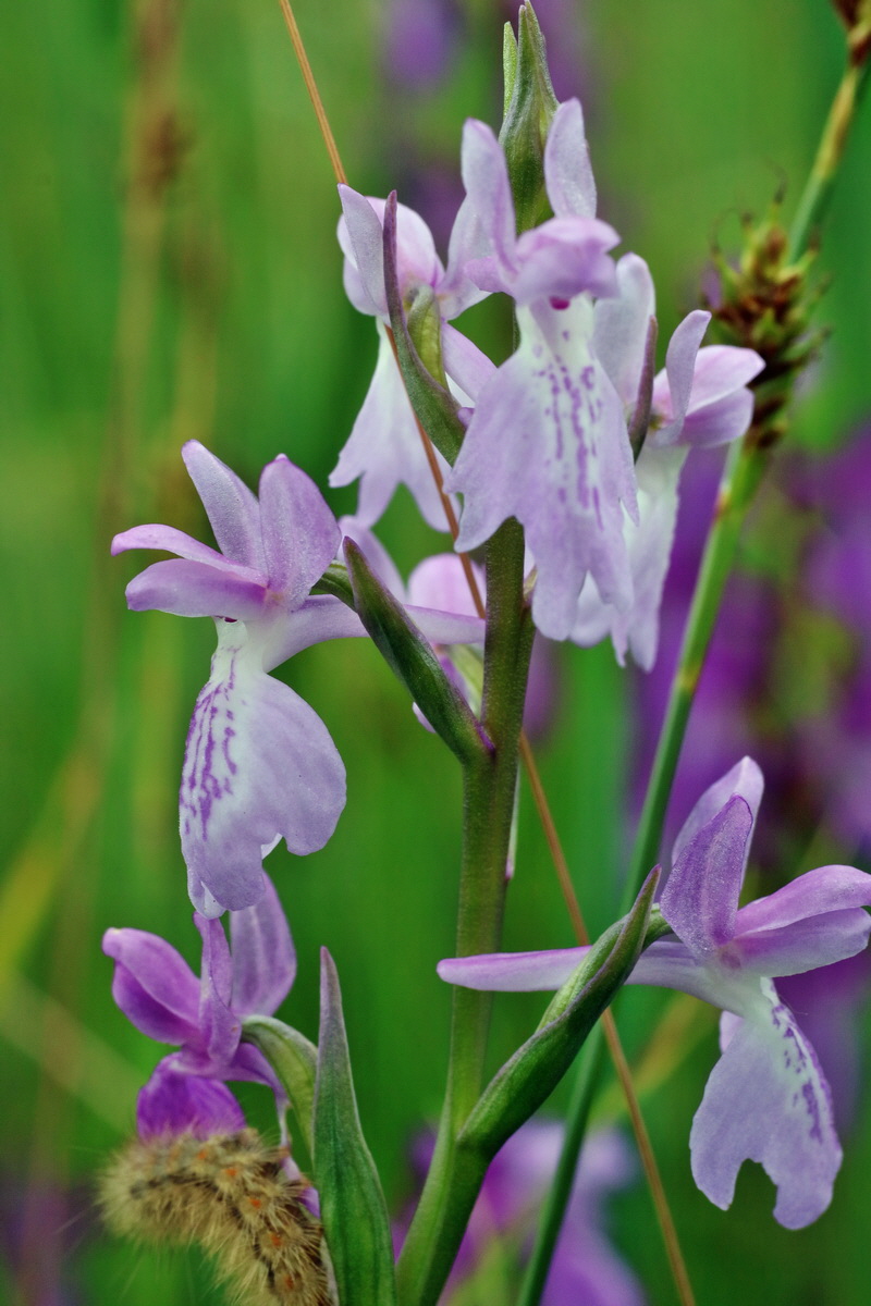 IMG-2016-06-12-00019230p_Bildgr��e �ndern