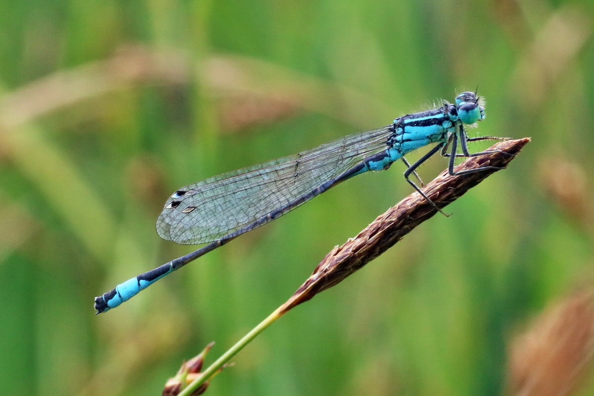 IMG-2016-06-12-00019263ap_Bildgr��e �ndern