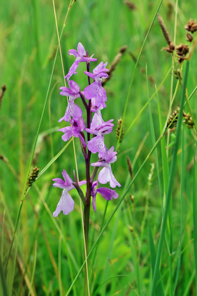 IMG-2016-06-12-00019271p_Bildgr��e �ndern