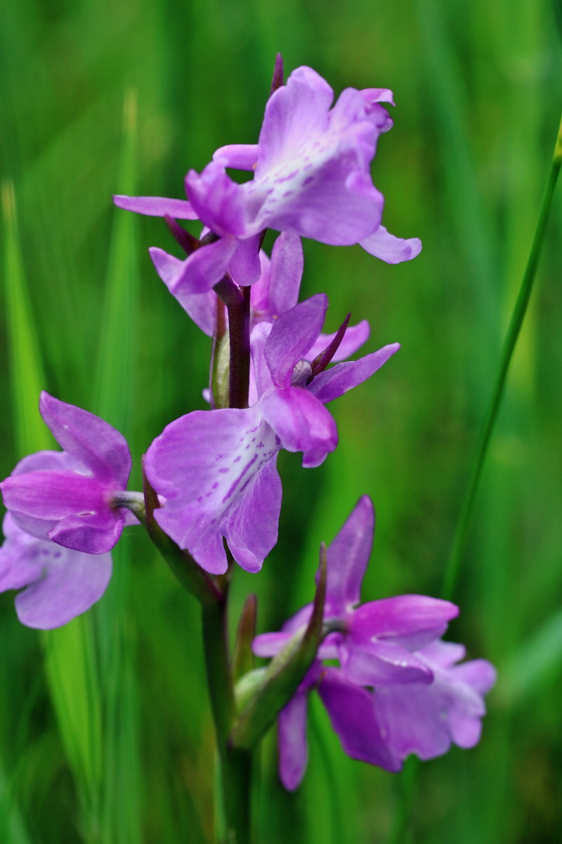 IMG-2016-06-12-00019297p_Bildgr��e �ndern