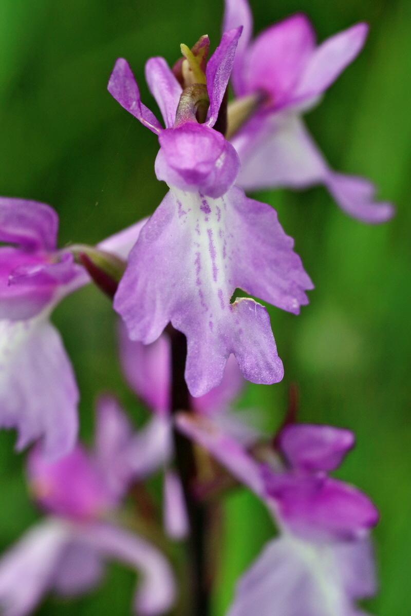 IMG-2016-06-12-00019300p_Bildgr��e �ndern