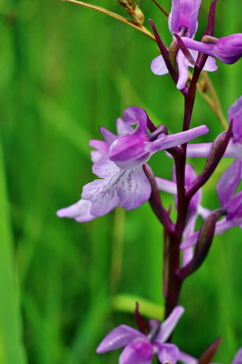 IMG-2016-06-12-00019305p_Bildgr��e �ndern