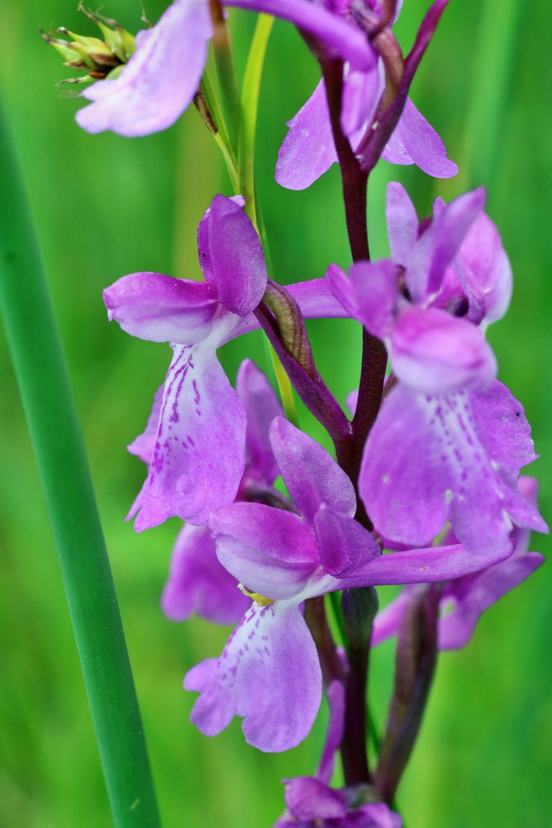 IMG-2016-06-12-00019312p_Bildgr��e �ndern