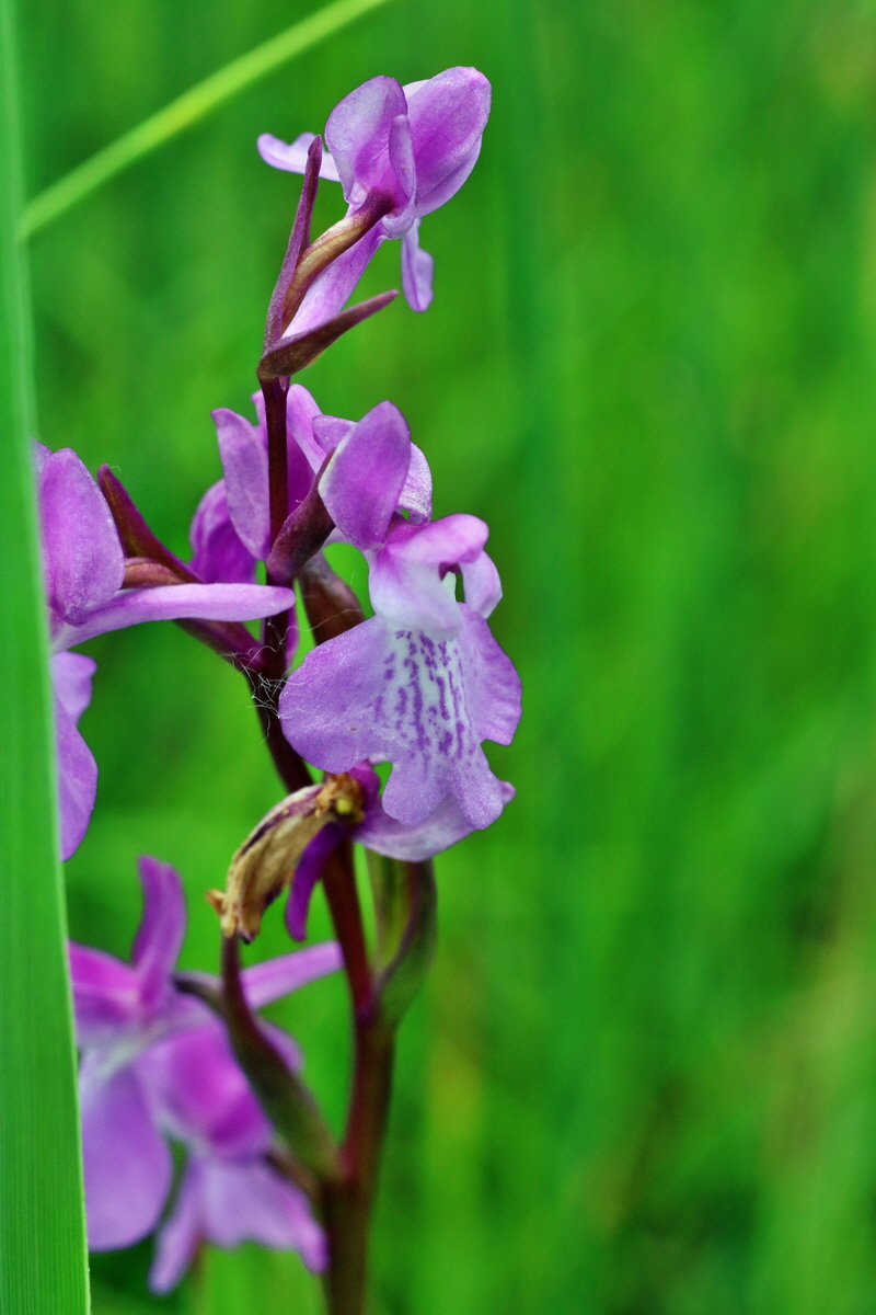 IMG-2016-06-12-00019315p_Bildgr��e �ndern