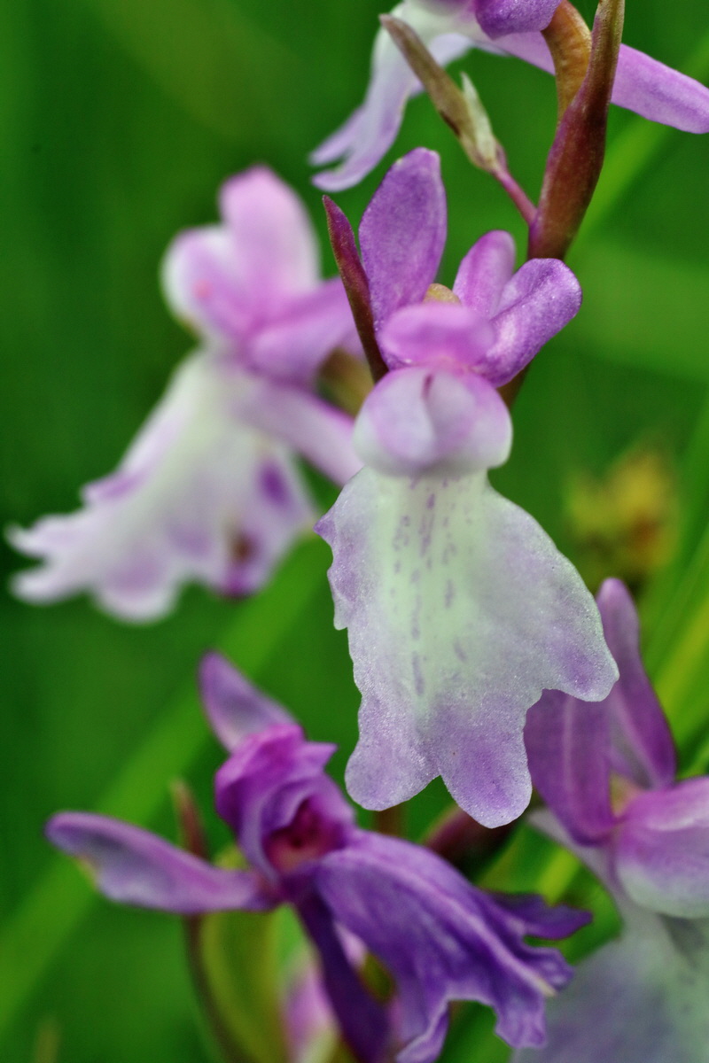 IMG-2016-06-12-00019319p_Bildgr��e �ndern