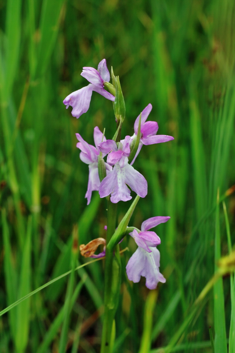 IMG-2016-06-12-00019323p_Bildgr��e �ndern