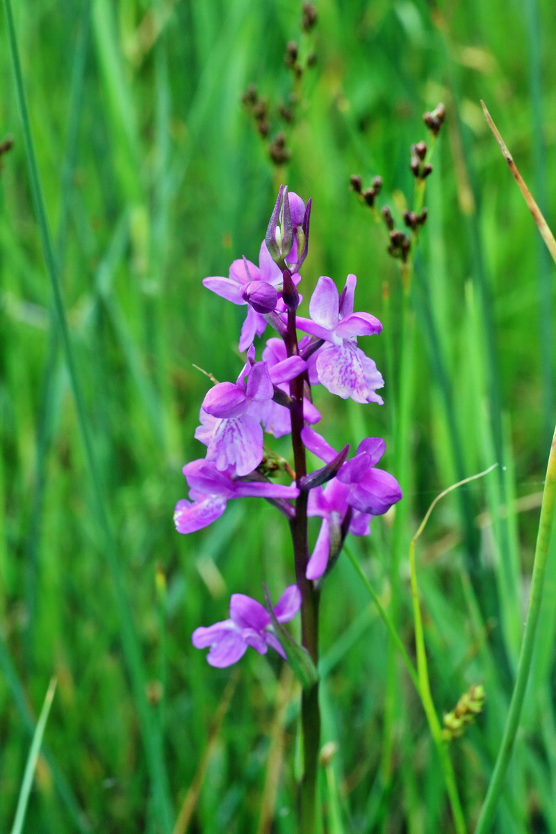 IMG-2016-06-12-00019327p_Bildgr��e �ndern