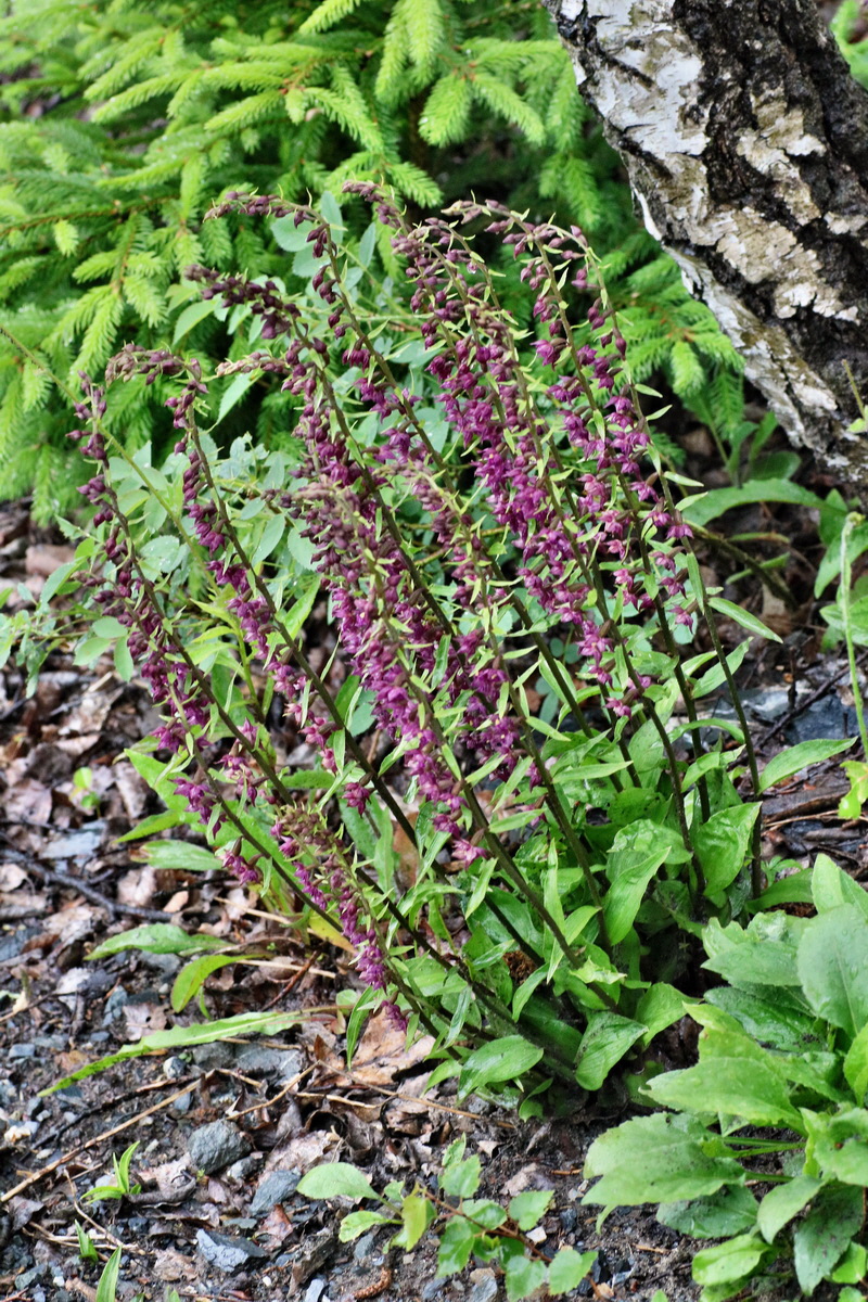 IMG-2016-06-12-00019360p_Bildgr��e �ndern