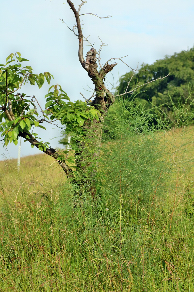 IMG-2016-06-13-00019391p_Bildgr��e �ndern