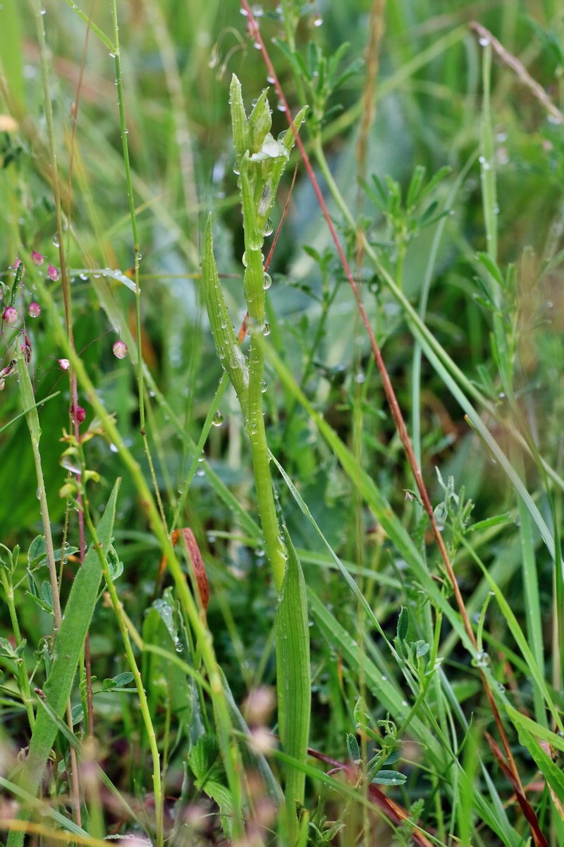 IMG-2016-06-13-00019395p_Bildgr��e �ndern