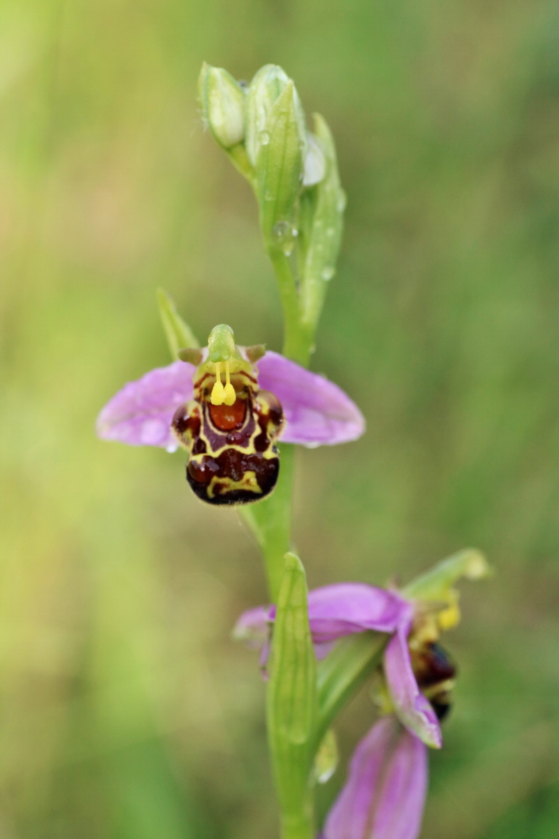 IMG-2016-06-13-00019403p_Bildgr��e �ndern