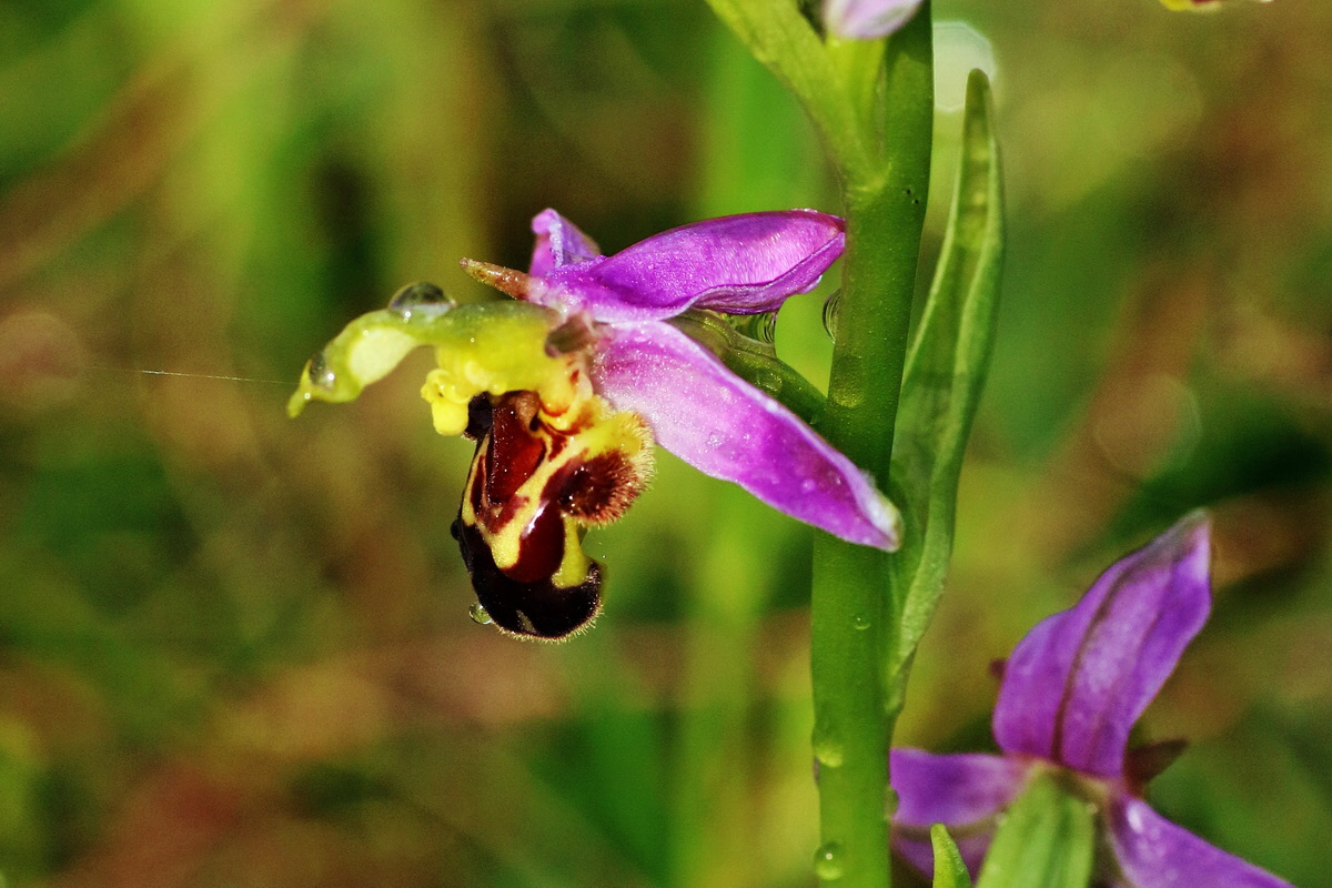 IMG-2016-06-13-00019404ap_Bildgr��e �ndern