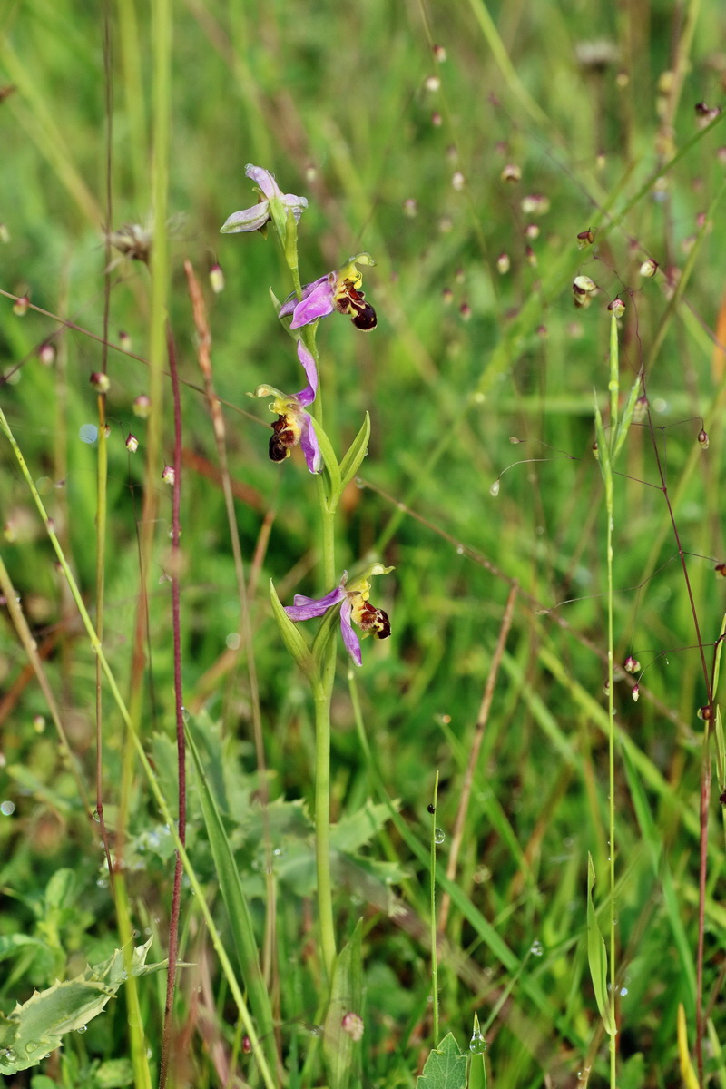 IMG-2016-06-13-00019416p_Bildgr��e �ndern