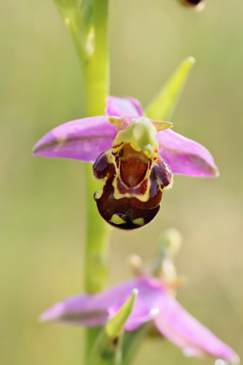 IMG-2016-06-13-00019418p_Bildgr��e �ndern