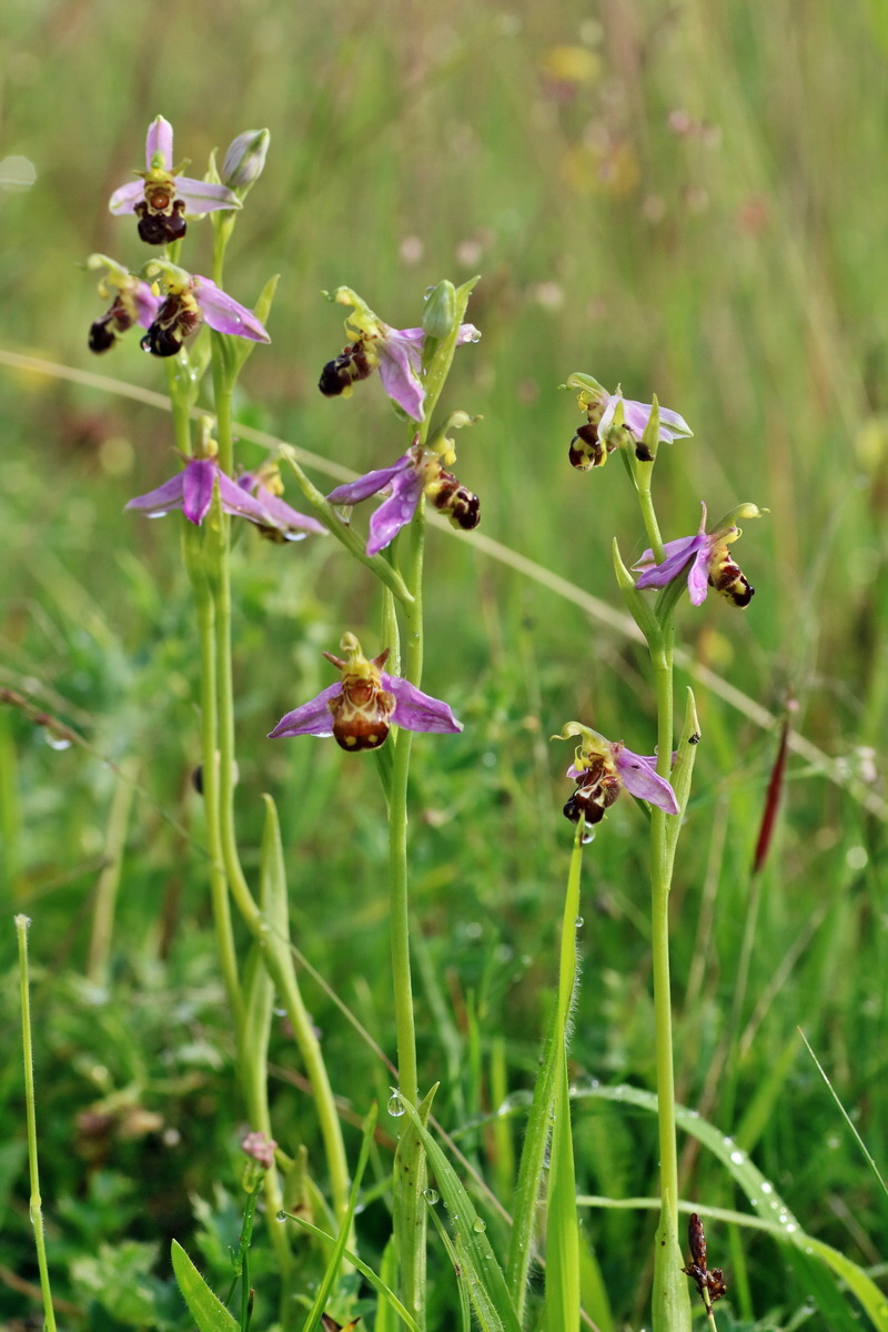 IMG-2016-06-13-00019434p_Bildgr��e �ndern