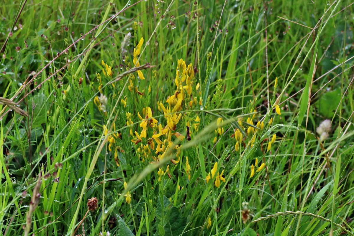 IMG-2016-06-13-00019474p_Bildgr��e �ndern