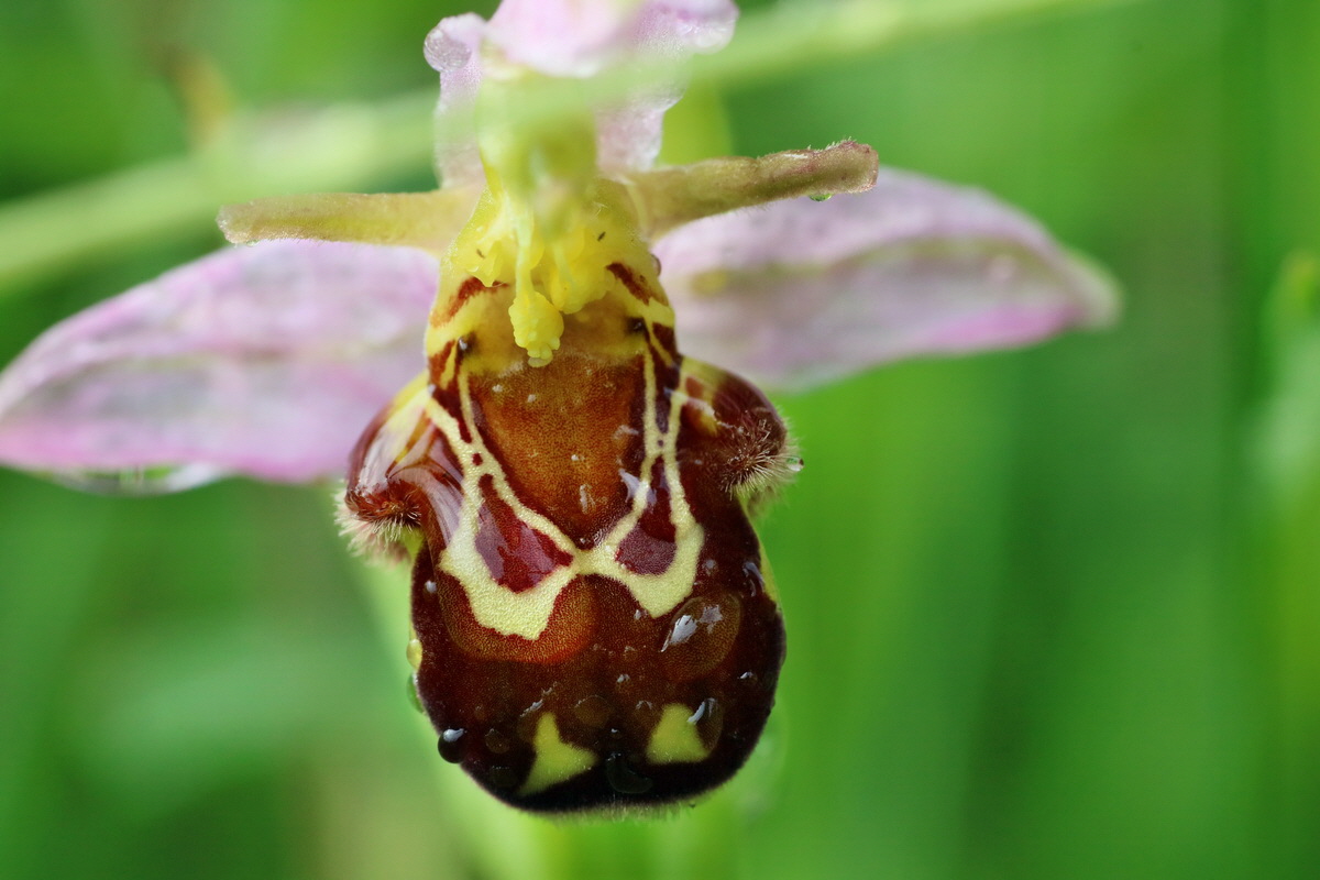 IMG-2016-06-13-00019481p_Bildgr��e �ndern