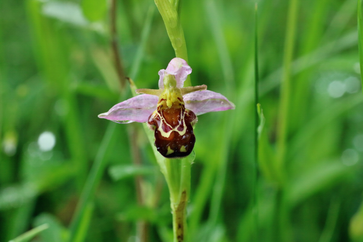 IMG-2016-06-13-00019483p_Bildgr��e �ndern