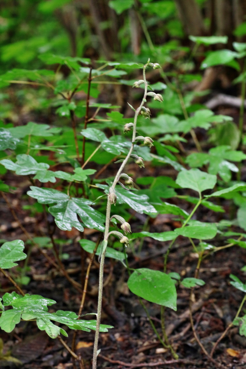 IMG-2016-06-13-00019485p_Bildgr��e �ndern