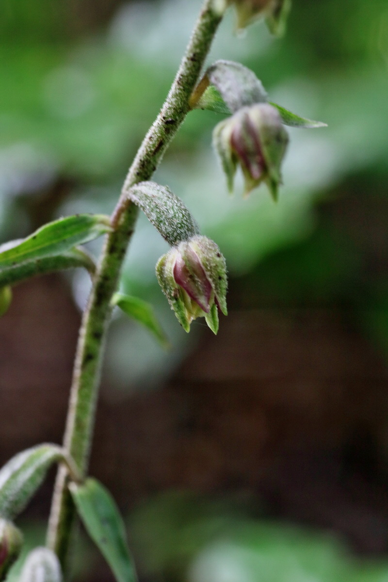 IMG-2016-06-13-00019493p_Bildgr��e �ndern