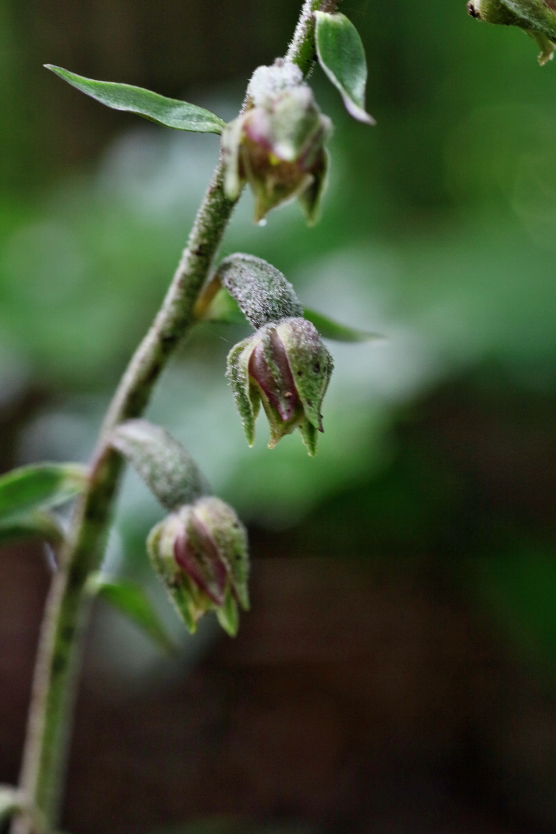 IMG-2016-06-13-00019495p_Bildgr��e �ndern