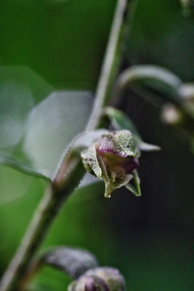 IMG-2016-06-13-00019530p_Bildgr��e �ndern