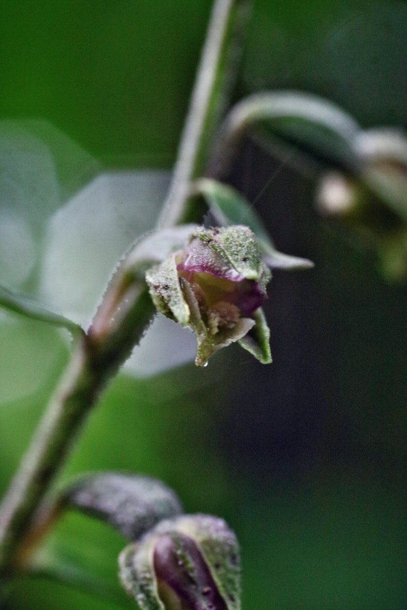 IMG-2016-06-13-00019532p_Bildgr��e �ndern