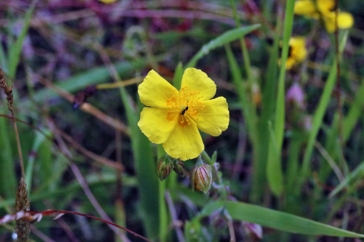 IMG-2016-06-13-00019568p_Bildgr��e �ndern