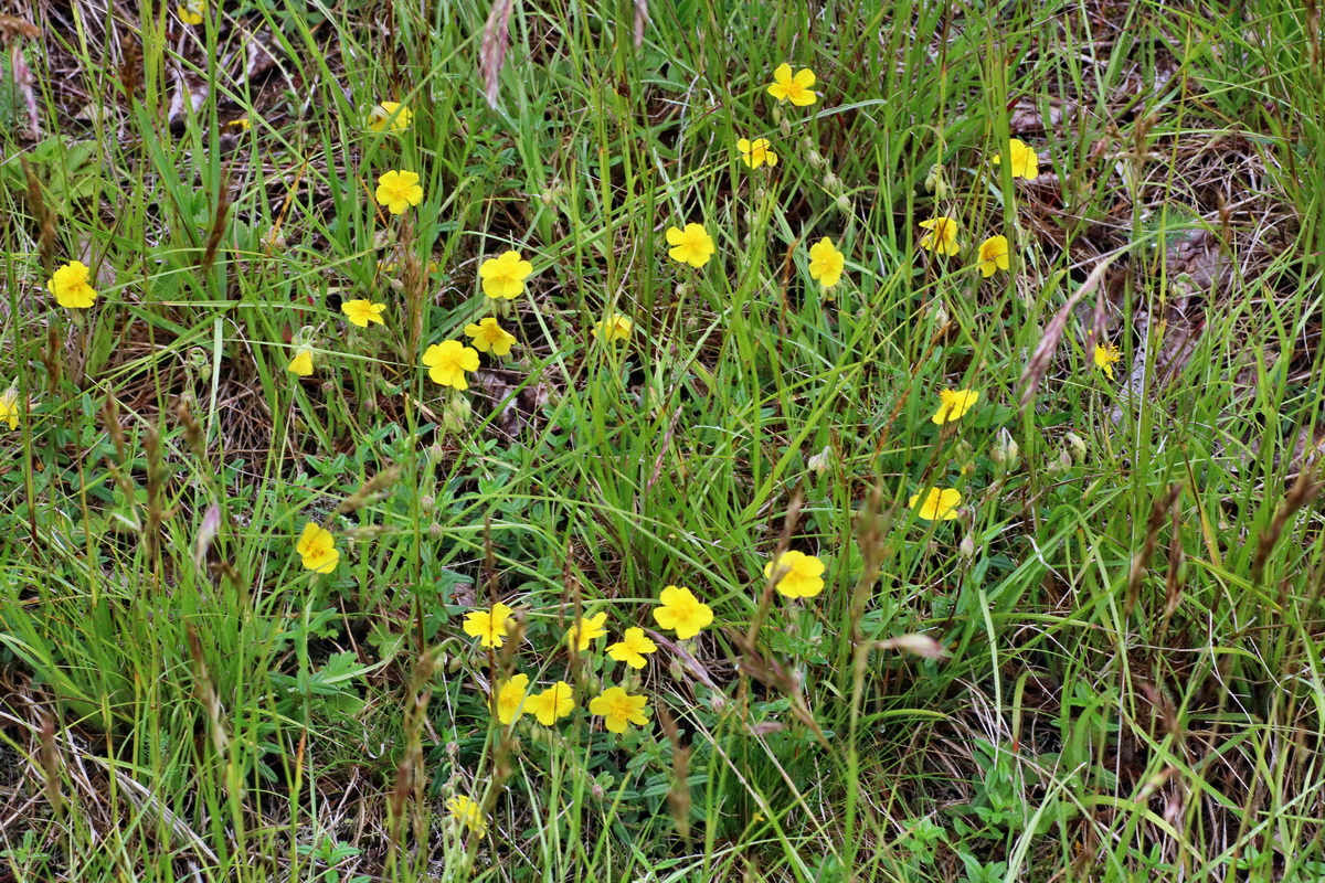 IMG-2016-06-13-00019573p_Bildgr��e �ndern