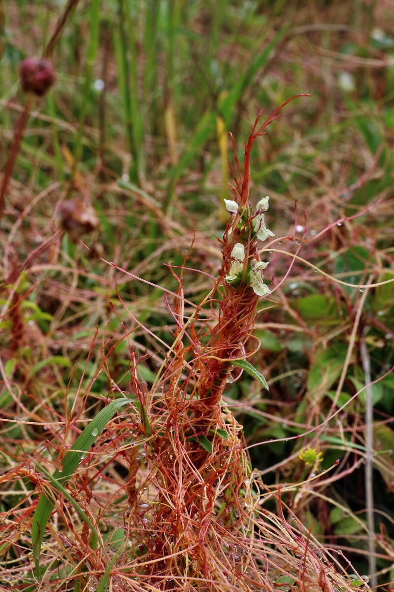 IMG-2016-06-13-00019582p_Bildgr��e �ndern