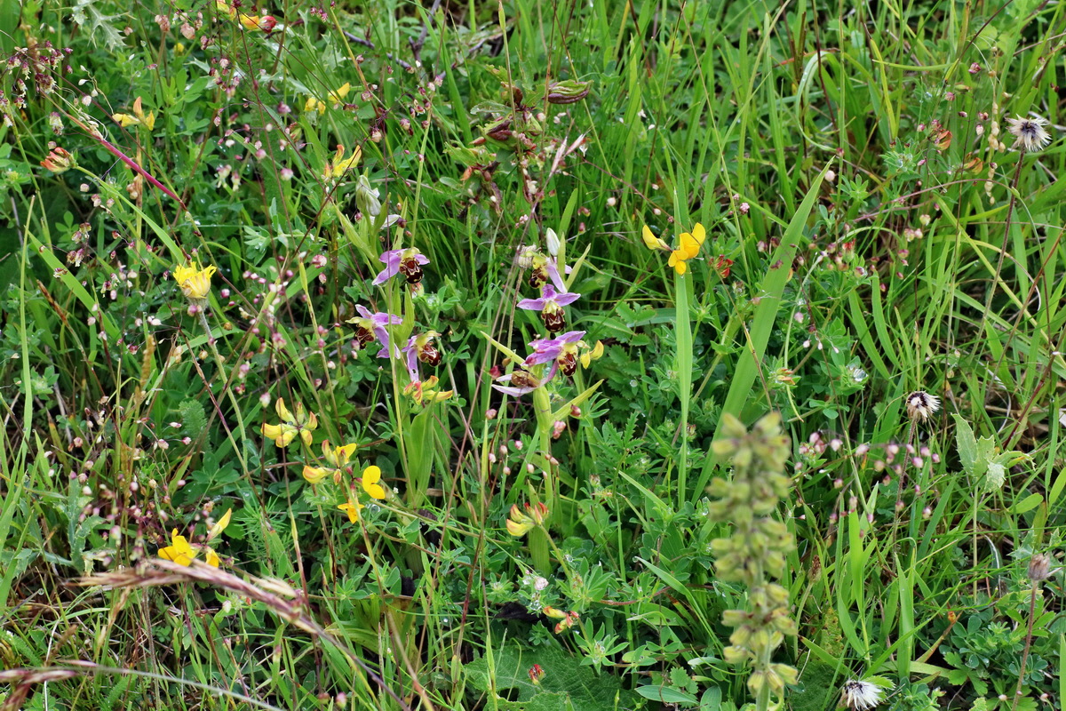 IMG-2016-06-13-00019584p_Bildgr��e �ndern